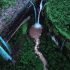 devkund-waterfall-2